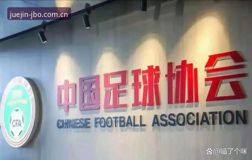 足协禁足令升级 vs 行业自律困境：从65名违规人员看竞技体育的底线坚守